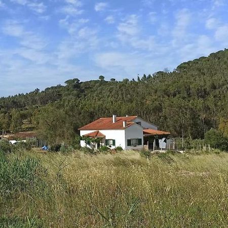 Al- Quinta Dos Carvalhais Ріу-Майор Екстер'єр фото